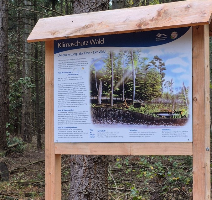 Wasser - Wald - Wild - Station 10