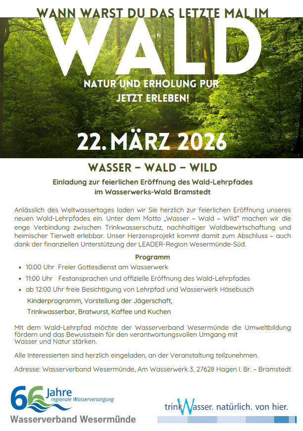 Wald_2026.jpeg